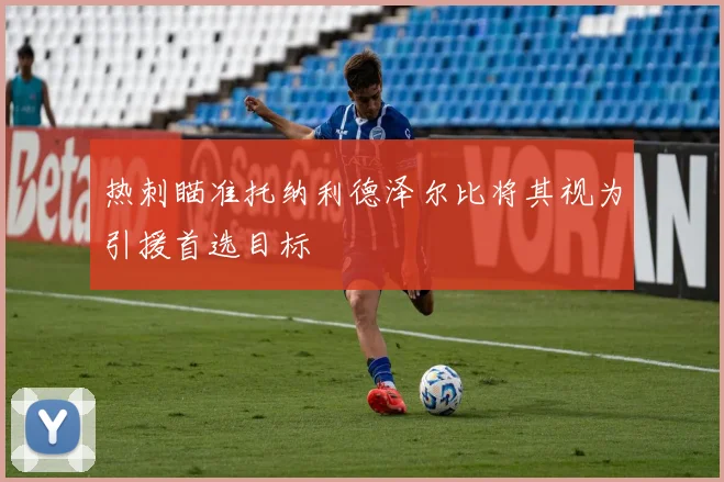 热刺瞄准托纳利德泽尔比将其视为引援首选目标