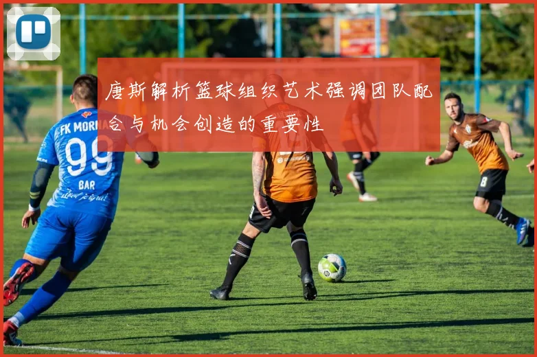 唐斯解析篮球组织艺术强调团队配合与机会创造的重要性