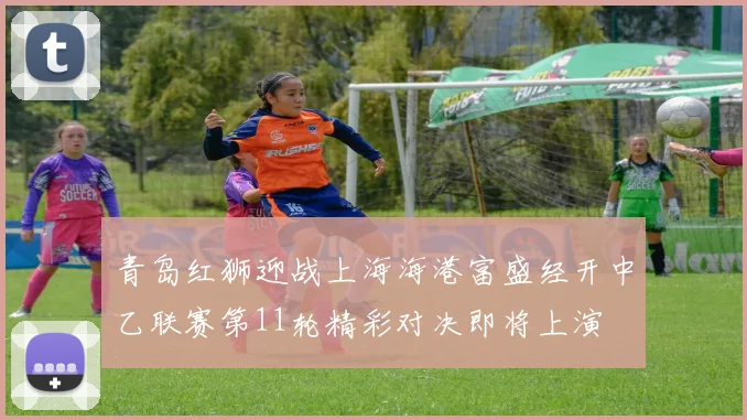 青岛红狮迎战上海海港富盛经开中乙联赛第11轮精彩对决即将上演