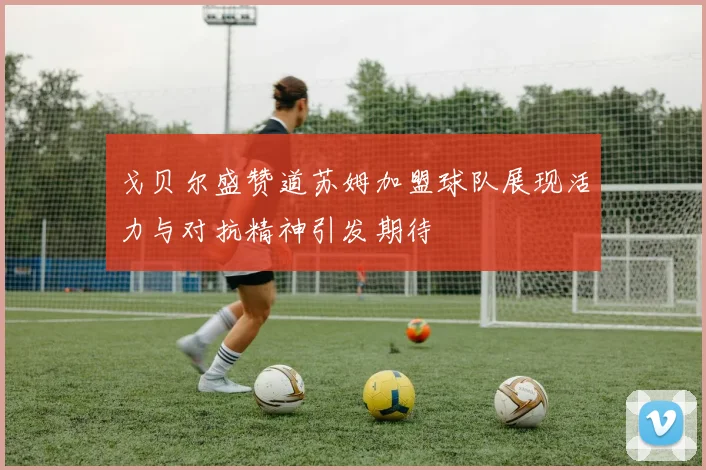 戈贝尔盛赞道苏姆加盟球队展现活力与对抗精神引发期待